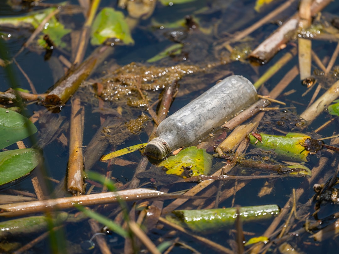 Eco-friendly cleaning supplies